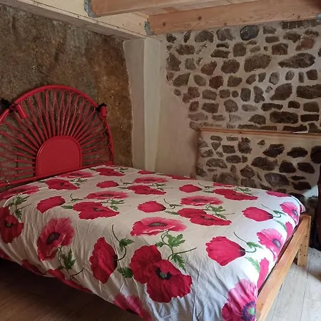 Les Coquelicots De Retourtour